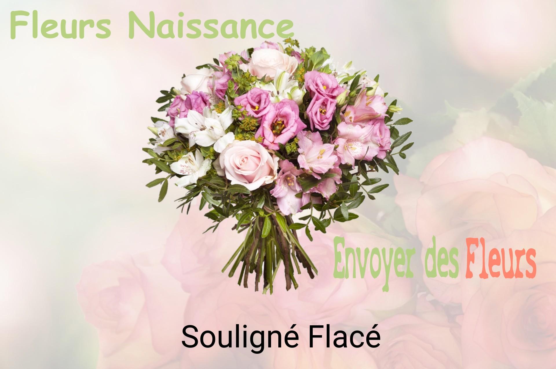 Bouquet de fleurs de naissance livré à Souligné-Flacé